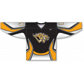 Sublimated Hockey Jerseys Order ZH101-DESIGN-H1007