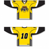 Sublimated Hockey Jerseys Shop ZH121-DESIGN-H1109 Branded gear