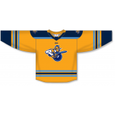 *p(R)ojectR® EC Hockey Jersey Sublimated Echl Hockey Jerseys Order ZH182-DESIGN-ATG2366