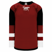 Pro Hockey Jerseys Buy H550B-MIG647B Team Branded Apparel