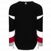 H550C - Pro Hockey Jerseys - Hockey - Sportswear