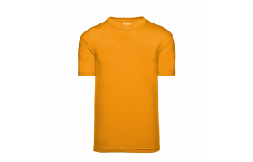a2500-006-f.png