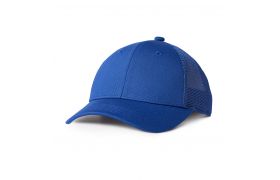 ah250_imgl1811 copy.jpg