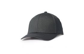 ah500_imgl1800 copy.jpg
