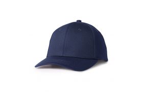 ah500_imgl1802 copy.jpg