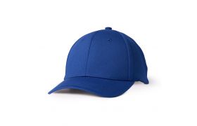 ah500_imgl1805 copy.jpg