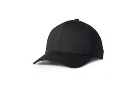ah500_imgl1806 copy.jpg