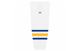 hs2100-201.png