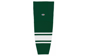 hs2100-260.png