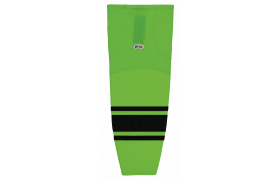 hs2100-269.png
