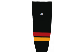 hs2100-295.png