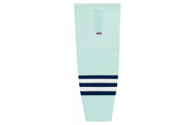 hs2100-421.png