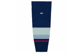 hs2100-500.png