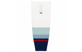 hs2100-501.png
