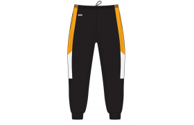 zap9300p-design-ap2408_feat.png