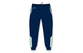 ZAP9300P-DESIGN-ATT2510