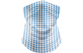 zgm1p-1108-gingham-blue-3d.png