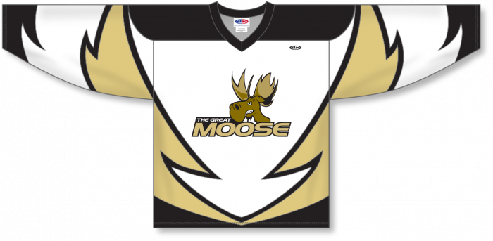 Athletic Knit Custom Sublimated Hockey Jersey Design 1004 | Custom Apparel | Hockey | Sublimated Apparel | Jerseys 5XL