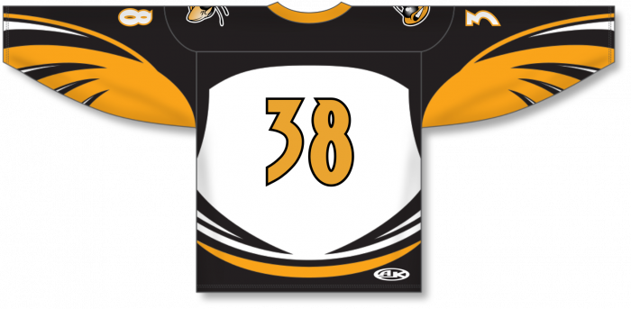 buddix Logo Hockey Jersey Ｍサイズ buddix Logo Hockey Jersey Mサイズ - メルカリ