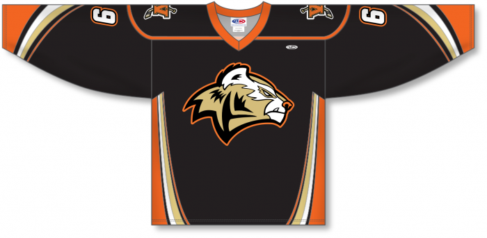 Athletic Knit Custom Sublimated Hockey Jersey Design 0939 | Custom Apparel | Hockey | Sublimated Apparel | Jerseys XL