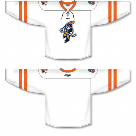 Sublimated Echl Hockey Jerseys Shop ZH132-DESIGN-GSR2023 Branded gear