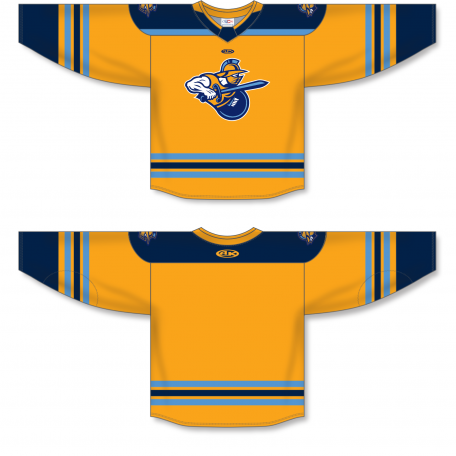 Sublimated Echl Hockey Jerseys Buy ZH182-DESIGN-ATG2366 for your Team